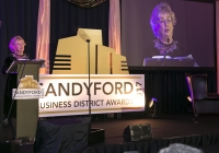 Sharon Scally - Chairperson - Sandyford BID CLG