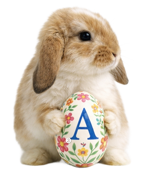 China Sichuan To•G0 Treasure Hunt