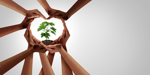 Climate Action Week Event in SBD with DLRCC: Empowering Businesses for Climate Action