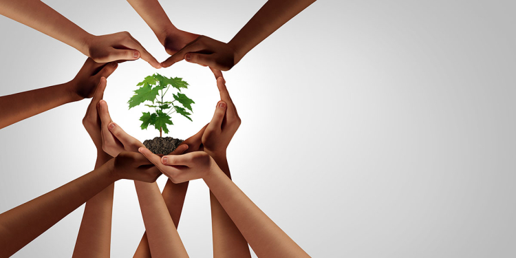 Climate Action Week Event in SBD with DLRCC: Empowering Businesses for Climate Action