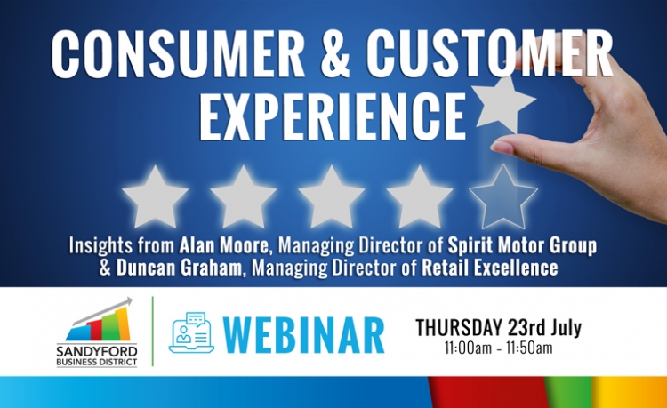 Consumer and Customer Experience Webinar