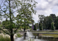 Parks and Playgrounds in Sandyford Business District  gallery image thumbnail