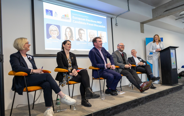 SBD Panel Discussion with Dublin Candidates for the European Parliament Elections gallery image