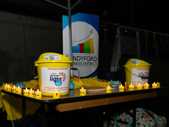 SBD Darkness into Light Walk in Leopardstown Racecourse