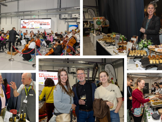 Sandyford Business District Culture Night ‘24