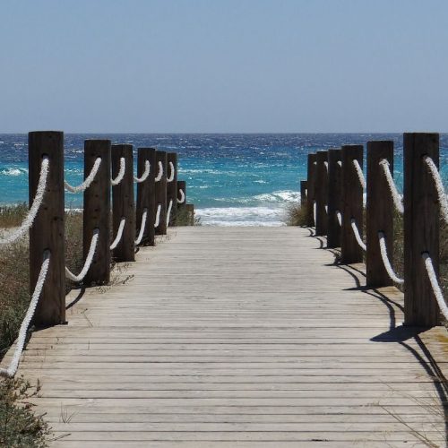 Health and Wellness Advice and Tips