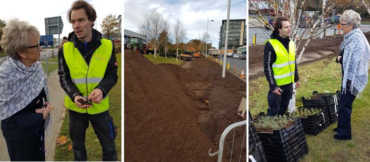 Preparing Sandyford Business District for Spring 2018