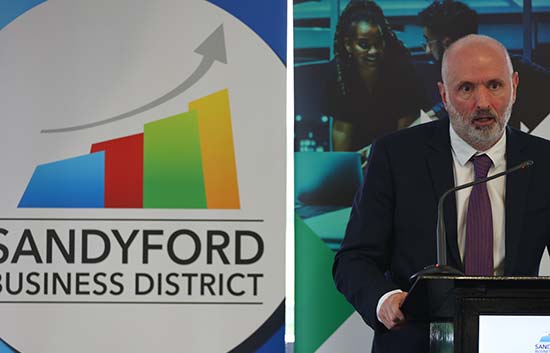 Business Voices: Supporting Renewal